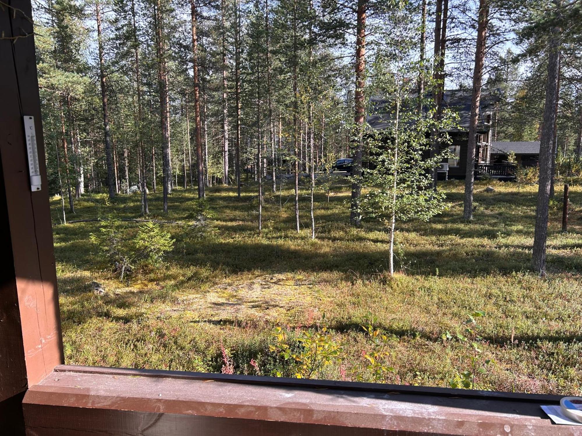 Unelmasaeleikkoe 2 Kittila  Luaran gambar